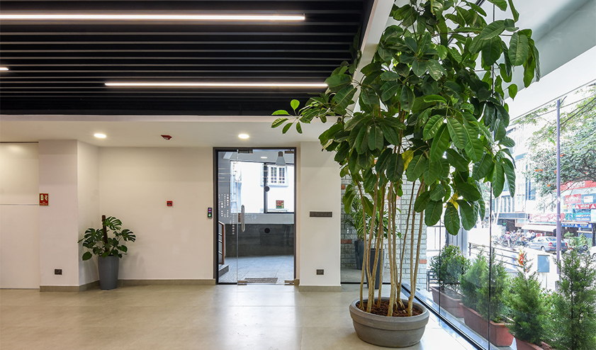 incubex gallery